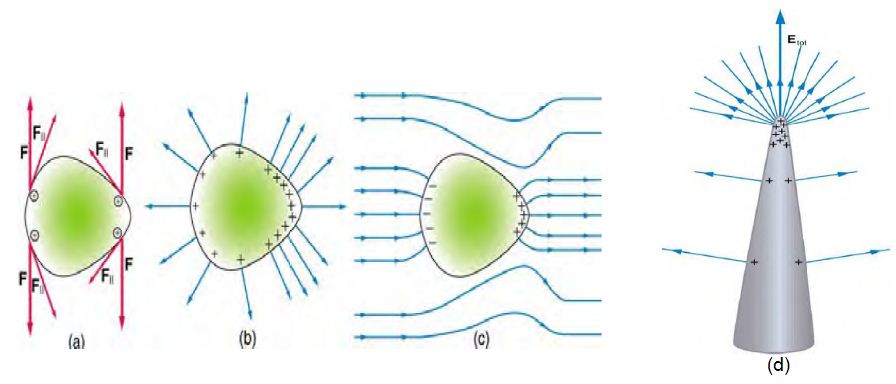 圖、場線的畫法 6