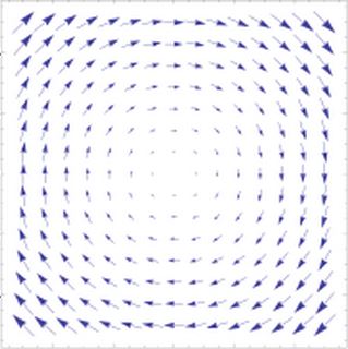 圖、環形向量場