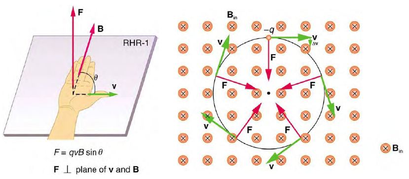 圖、磁場中的電子如何運動?